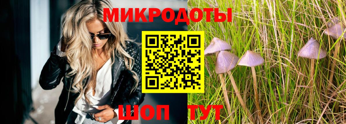 Псилоцибиновые грибы мухоморы Осинники